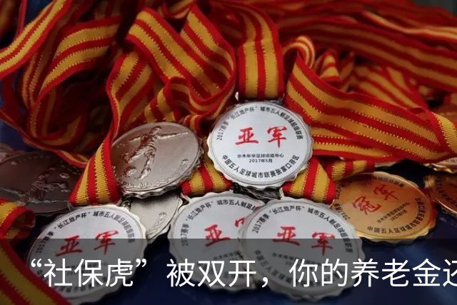 “社保虎”被双开，你的养老金还好吗？
