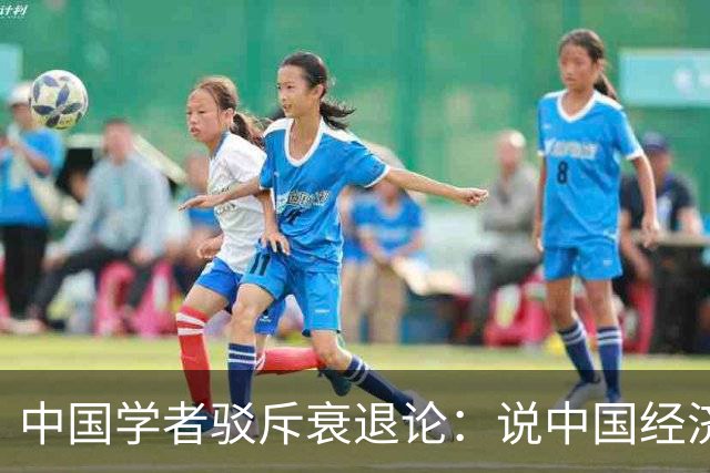 中国学者驳斥"衰退论"：说中国经济不行的都错了