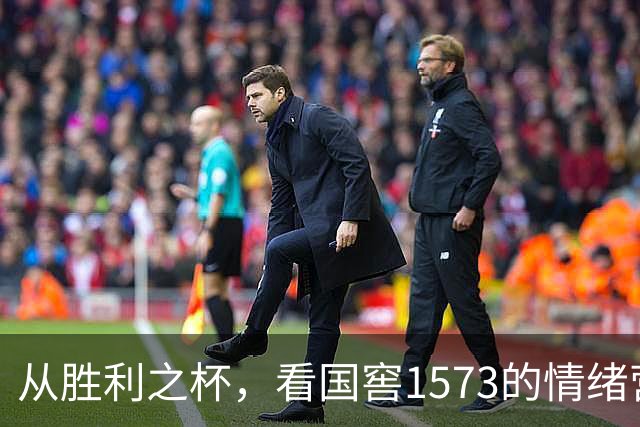 从胜利之杯，看国窖1573的情绪营销