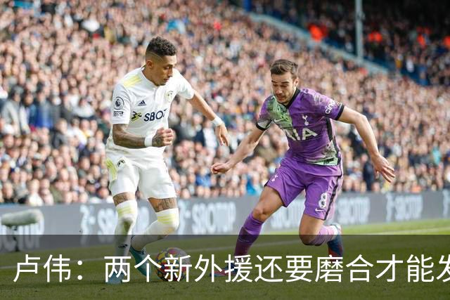 卢伟：两个新外援还要磨合才能发挥作用 表扬张镇麟拼到最后