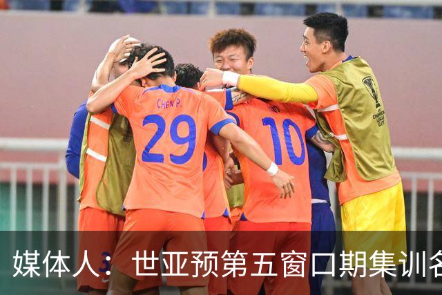 媒体人：世亚预第五窗口期集训名单已定，祝福他们