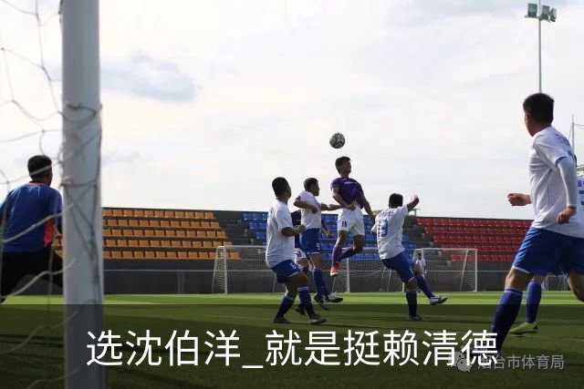 选沈伯洋 就是挺赖清德