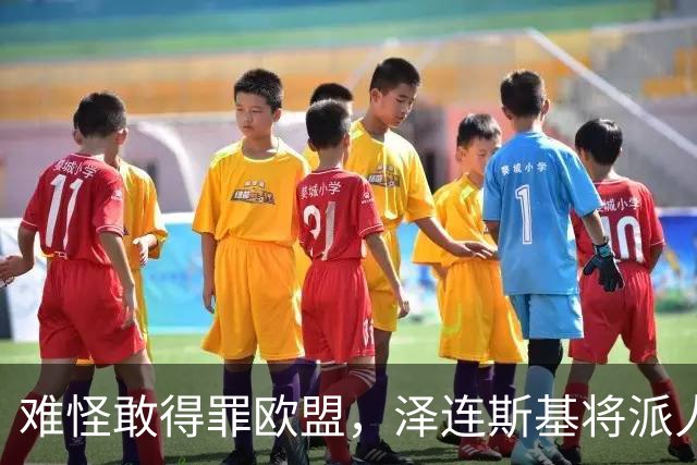 难怪敢得罪欧盟，泽连斯基将派人来华，中乌交锋变合作，局面逆转